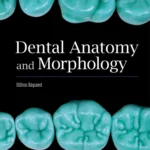 Dental Anatomy and Morphology 1st Edition