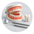 Home 39 B Dental